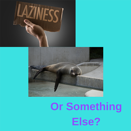 Is is laziness